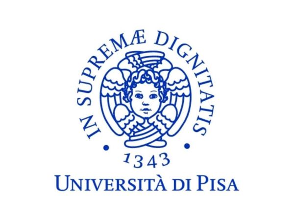 bando assegni di ricerca Università di Pisa